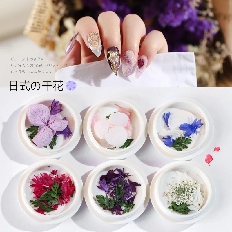 1Box Colorful Dried Flower 3D Nail Decoration Preserved Flower Manicure Nail Art Decoration
1Box Colorful Dried Flower 3D Nail Decoration Preserved Flower Manicure Nail Art Decoration