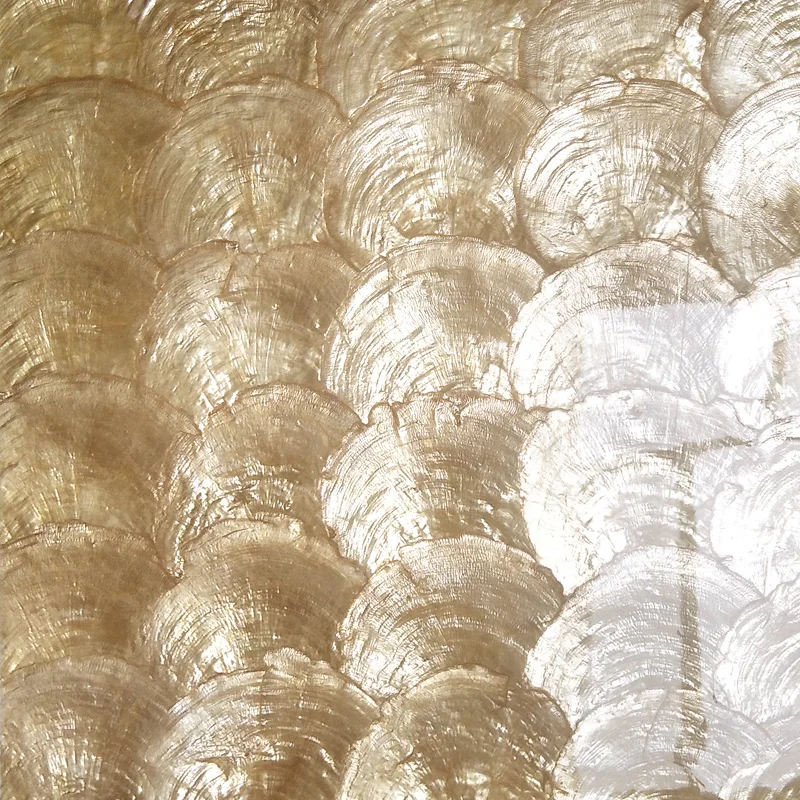 Custom natural sea shell mosaic tile simple modern bathroom porch aisle decorative art TV background wall cabinet
Custom natural sea shell mosaic tile simple modern bathroom porch aisle decorative art TV background wall cabinet