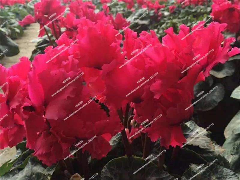 20160518151052