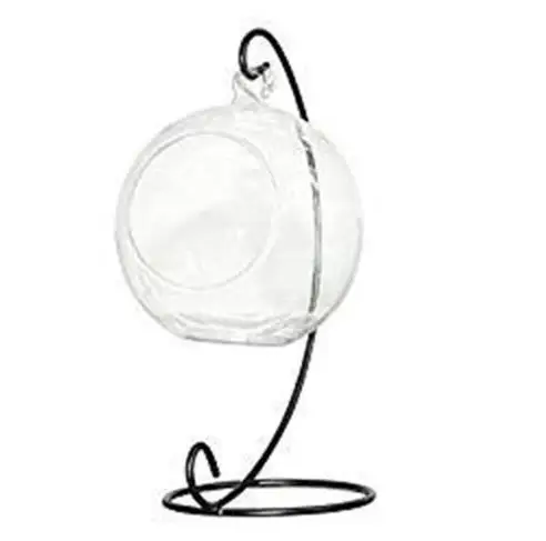 4pcs Creative Clear Glass Ball Vase Micro Landscape Air Plant Terrarium Succulent Hanging Flowerpot Container
4pcs Creative Clear Glass Ball Vase Micro Landscape Air Plant Terrarium Succulent Hanging Flowerpot Container