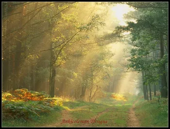 Needlework for embroidery DIY French DMC High Quality - Counted Cross Stitch Kits 14 ct Oil painting - Sun Rays in the Forest
Needlework for embroidery DIY French DMC High Quality - Counted Cross Stitch Kits 14 ct Oil painting - Sun Rays in the Forest