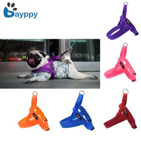 No-Pull Small Nylon Dog Harness Cat Pet Harness Set Chihuahua Bulldog Durable Pet Dog Accessories Dog Lead Pet Shop Supplies
No-Pull Small Nylon Dog Harness Cat Pet Harness Set Chihuahua Bulldog Durable Pet Dog Accessories Dog Lead Pet Shop Supplies