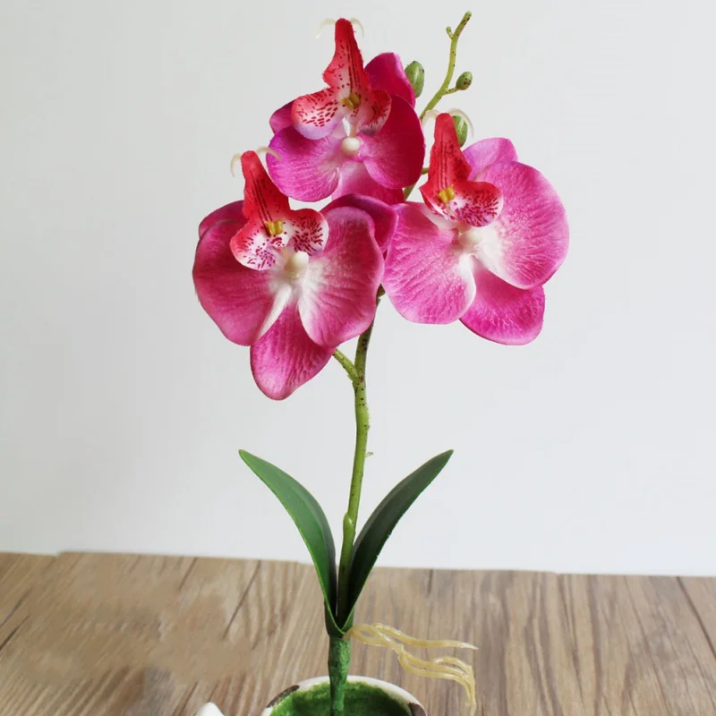 Simulation Butterfly Orchid Mini Small Phalaenopsis Potted Plant Green Plant Simulation Plants 1PCS
Simulation Butterfly Orchid Mini Small Phalaenopsis Potted Plant Green Plant Simulation Plants 1PCS