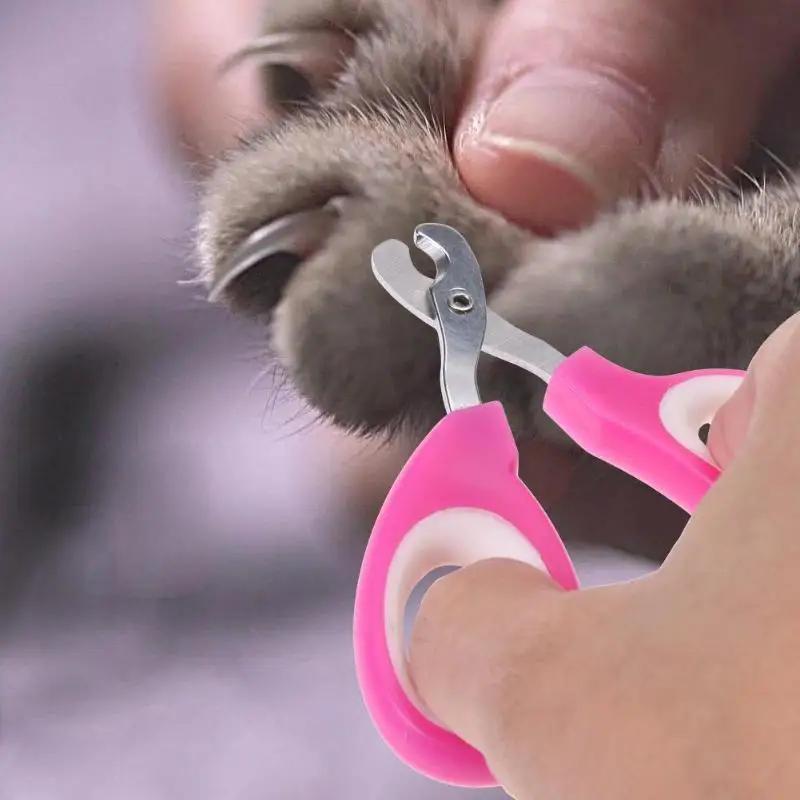 Pet Nail Clipper Scissors Pet Dog Cat Nail Toe Claw Clippers Scissors Trimmer Grooming Tools for Animals Pet Supplies
Pet Nail Clipper Scissors Pet Dog Cat Nail Toe Claw Clippers Scissors Trimmer Grooming Tools for Animals Pet Supplies