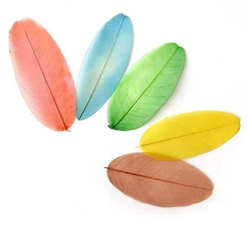 100pcs 3-8cm Dried Natural Feather Shape Leaf Leaves Skeleton Wedding Party Home Mural Bookmark Jewelry Craft DIY Accessories
100pcs 3-8cm Dried Natural Feather Shape Leaf Leaves Skeleton Wedding Party Home Mural Bookmark Jewelry Craft DIY Accessories