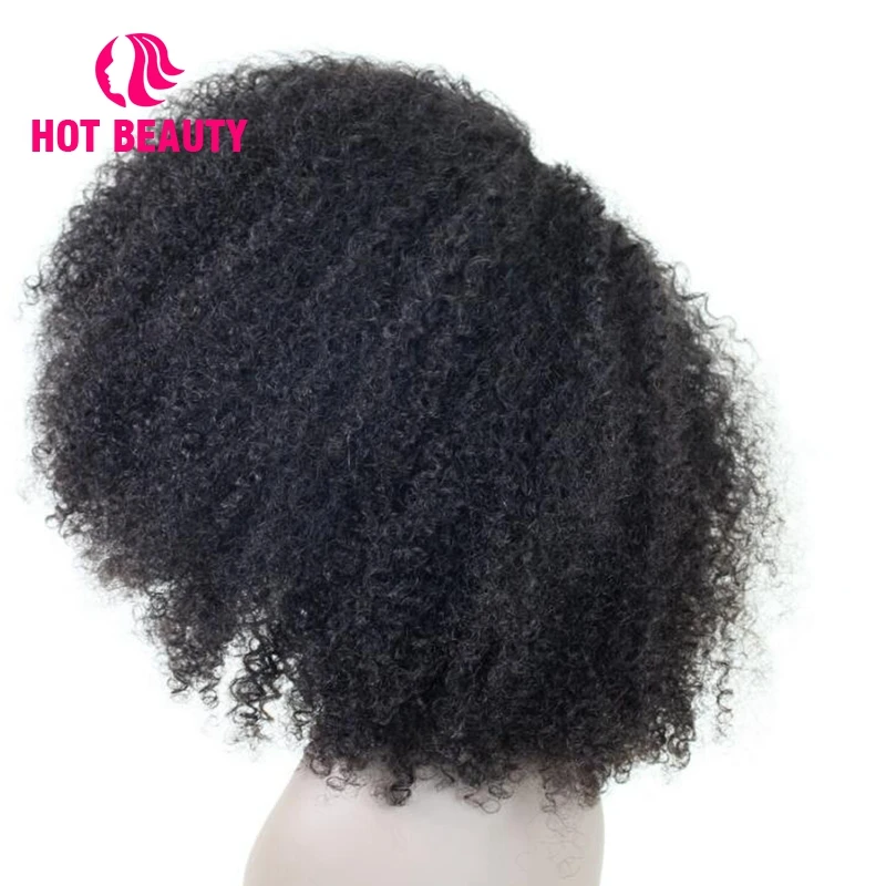 4-lace front human hair wigs pre plucked