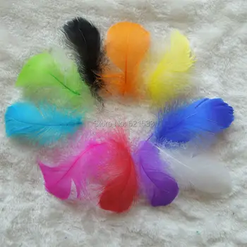 500PCS/lot!Multicolor Goose Coquille Feathers,soft goose Feathers for wedding,8-12cm,wholesale,cheap feathers,10colours
500PCS/lot!Multicolor Goose Coquille Feathers,soft goose Feathers for wedding,8-12cm,wholesale,cheap feathers,10colours