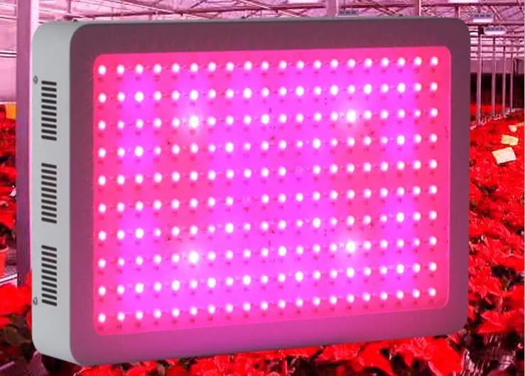 High power 600W LED plant light 9 Bands Full Spectrum Led Grow Light 100% Quantity Medical Veg& Flowering
High power 600W LED plant light 9 Bands Full Spectrum Led Grow Light 100% Quantity Medical Veg& Flowering