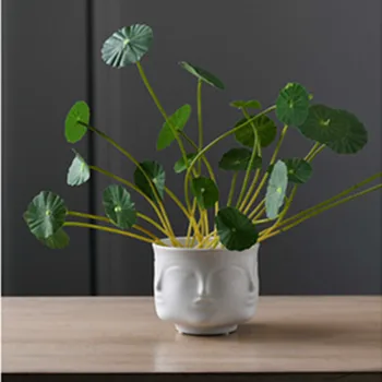 Nordic Abstraction Geometry Many-sided Muse Face Ceramics Vase Personality Living Room Succulent Plant Flower Pot X2090
Nordic Abstraction Geometry Many-sided Muse Face Ceramics Vase Personality Living Room Succulent Plant Flower Pot X2090