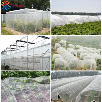 40Mesh 3x5meter Insect Shade Netting Garden Vegetables Protection Cockroach Mosquito Pest Control For Fruit Tree Greenhouse Pest
40Mesh 3x5meter Insect Shade Netting Garden Vegetables Protection Cockroach Mosquito Pest Control For Fruit Tree Greenhouse Pest