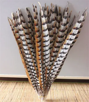 Free shipping! 20 pcs Natural feather decor golden pheasant tail feathers 20-22 inch/50-55cm
Free shipping! 20 pcs Natural feather decor golden pheasant tail feathers 20-22 inch/50-55cm