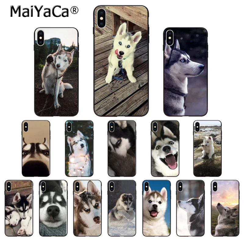 Мягкий высококачественный чехол для телефона MaiYaCa Animal Husky Dog из ТПУ Apple iPhone 8 7 6 6S Plus