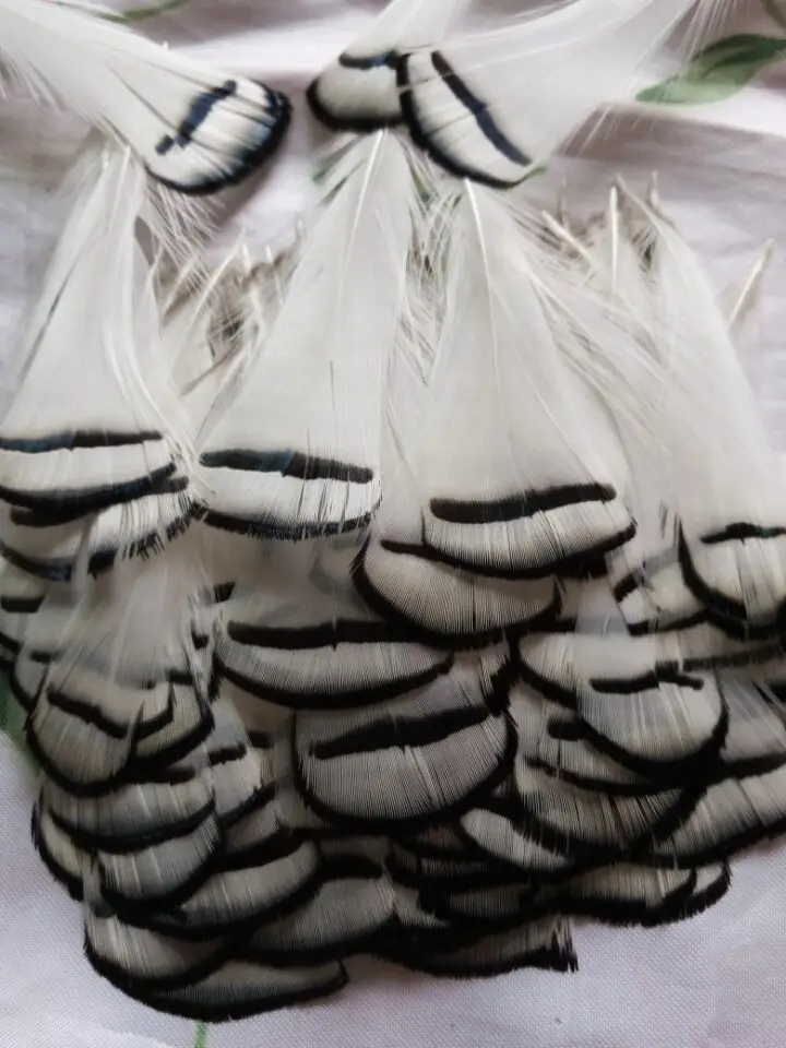 Wholesale perfect 10pcs high quality natural Lady Amherst Pheasant Feathers 2-4inch/5-10cm Decorative diy
Wholesale perfect 10pcs high quality natural Lady Amherst Pheasant Feathers 2-4inch/5-10cm Decorative diy