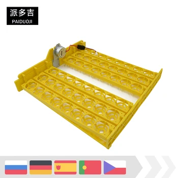 Excellent Quality Incubator Capacity 48 Automatic Incubator Tray Accessory with Motor Turn Egg Storage Rack Bird Chicken Farming
Excellent Quality Incubator Capacity 48 Automatic Incubator Tray Accessory with Motor Turn Egg Storage Rack Bird Chicken Farming