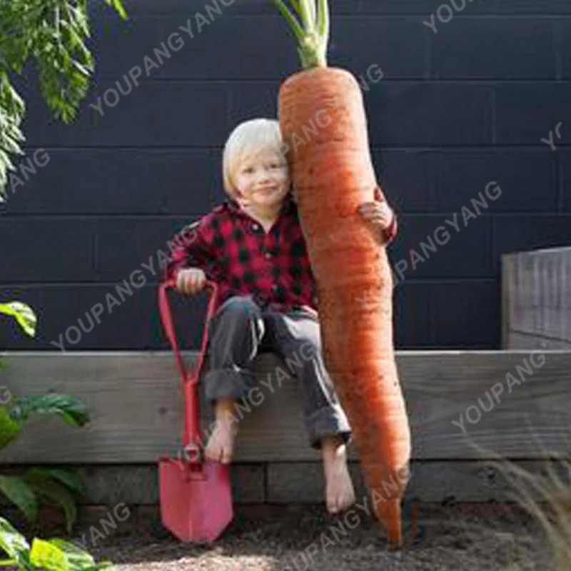 200pcs Super Giant Carrot bonsai Organic Sweet and Healthy Fruit bonsais Russian Heirloom Vegetables for Home Garden Plants
200pcs Super Giant Carrot bonsai Organic Sweet and Healthy Fruit bonsais Russian Heirloom Vegetables for Home Garden Plants