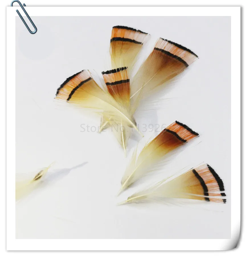 100Pcs natural golden Pheasant Feather 4-7cm small chicken feathers decorative DIY crafts accessories indian feather headdress
100Pcs natural golden Pheasant Feather 4-7cm small chicken feathers decorative DIY crafts accessories indian feather headdress