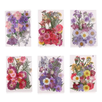 1 Pack Beautiful Natural Pressed Dried Flowers Pressed Leaves - DIY Floral Art Craft Décor Soap Candle Filler Ornaments
1 Pack Beautiful Natural Pressed Dried Flowers Pressed Leaves - DIY Floral Art Craft Décor Soap Candle Filler Ornaments