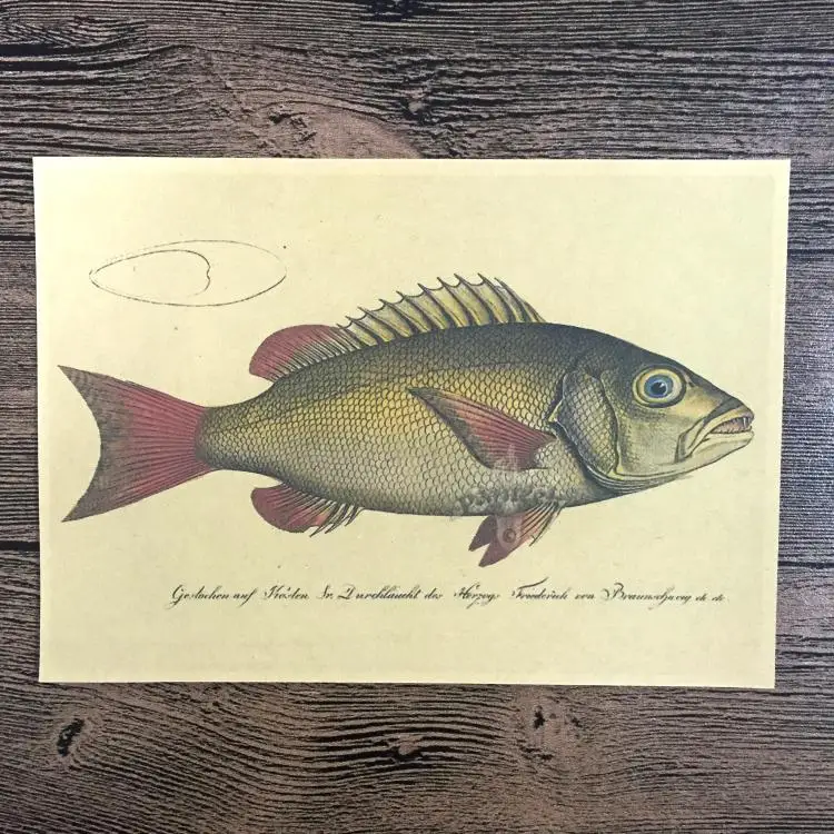 Free ship Animal Fish Retro Poster Vintage Wall Art Crafts Paper Living Room Paint Sticker bar cafe decor 42x30cm JIP-B112
Free ship Animal Fish Retro Poster Vintage Wall Art Crafts Paper Living Room Paint Sticker bar cafe decor 42x30cm JIP-B112