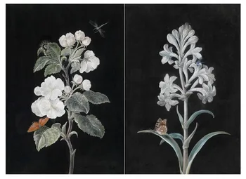 Black Background Beautiful Flowers Unframed Classical Cotton Canvas 2 Panels Paintings/Pictures for Bedroom/Living Room Decor
Black Background Beautiful Flowers Unframed Classical Cotton Canvas 2 Panels Paintings/Pictures for Bedroom/Living Room Decor
