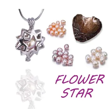 lower star Natural oyster pearl Set High Quality Fashion plated sliver snake chain Pearl Pendant Surprise Jewelry Gifts PO14
lower star Natural oyster pearl Set High Quality Fashion plated sliver snake chain Pearl Pendant Surprise Jewelry Gifts PO14