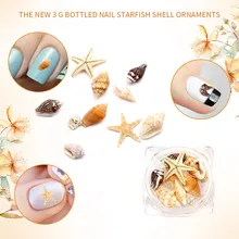Coquille de mer 1 boîte Nail Art strass paillettes diamant gemmes 3D conseils bricolage décoration nail art(China)