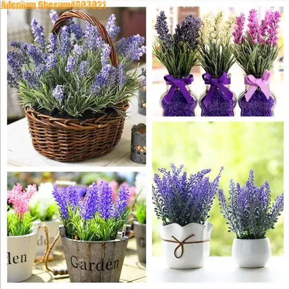 Sale! 100pcs lavender bonsai imported vanilla beautiful lavender flowers balcony plant home garden decoration free shipping
Sale! 100pcs lavender bonsai imported vanilla beautiful lavender flowers balcony plant home garden decoration free shipping