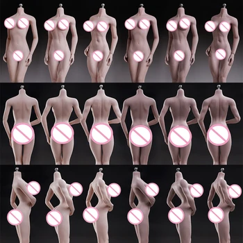 TBLeague Phicen S18A S19B S20A S21B S22A S23B 1/6 Scale Super-Flexible Seamless Body With Stainless Steel Skeleton
TBLeague Phicen S18A S19B S20A S21B S22A S23B 1/6 Scale Super-Flexible Seamless Body With Stainless Steel Skeleton