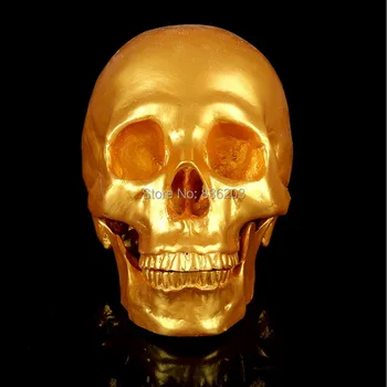 life size human Model in traumatism anatomy skeleton anatomical brain skull medical instruments training condoms manikins model
life size human Model in traumatism anatomy skeleton anatomical brain skull medical instruments training condoms manikins model
