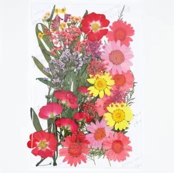 Design-11 40pcs Mixed Pressed Dried Flower Leaves Filler For Epoxy Resin Jewelry Making Postcard Frame Phone Case Craft DIY
Design-11 40pcs Mixed Pressed Dried Flower Leaves Filler For Epoxy Resin Jewelry Making Postcard Frame Phone Case Craft DIY