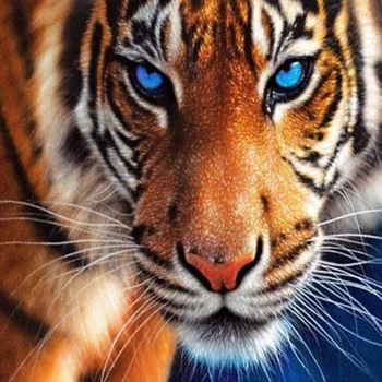 3D Diy Diamond Painting Tiger Diamond Mosaic Tiger Coloring Picture Do It Yourself Pictures By Numbers Pictures Of Rhinestones
3D Diy Diamond Painting Tiger Diamond Mosaic Tiger Coloring Picture Do It Yourself Pictures By Numbers Pictures Of Rhinestones