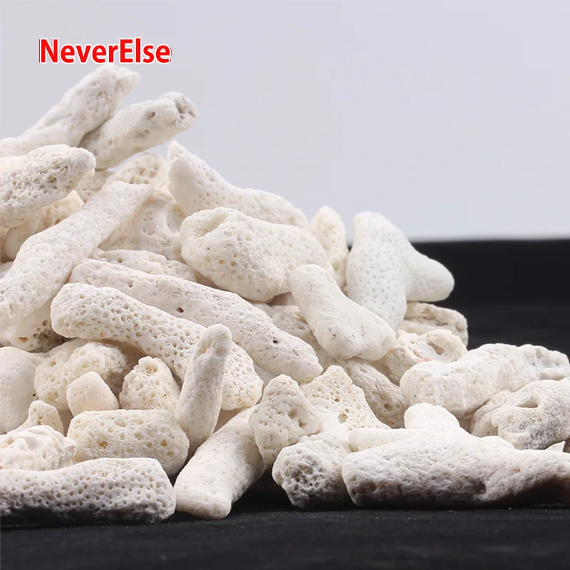 500Gram Filter Media Coral Shell Bone Stone Aquarium Replace Filtration Materials Fish Tank Clean Water Filter Pump Accessories
500Gram Filter Media Coral Shell Bone Stone Aquarium Replace Filtration Materials Fish Tank Clean Water Filter Pump Accessories