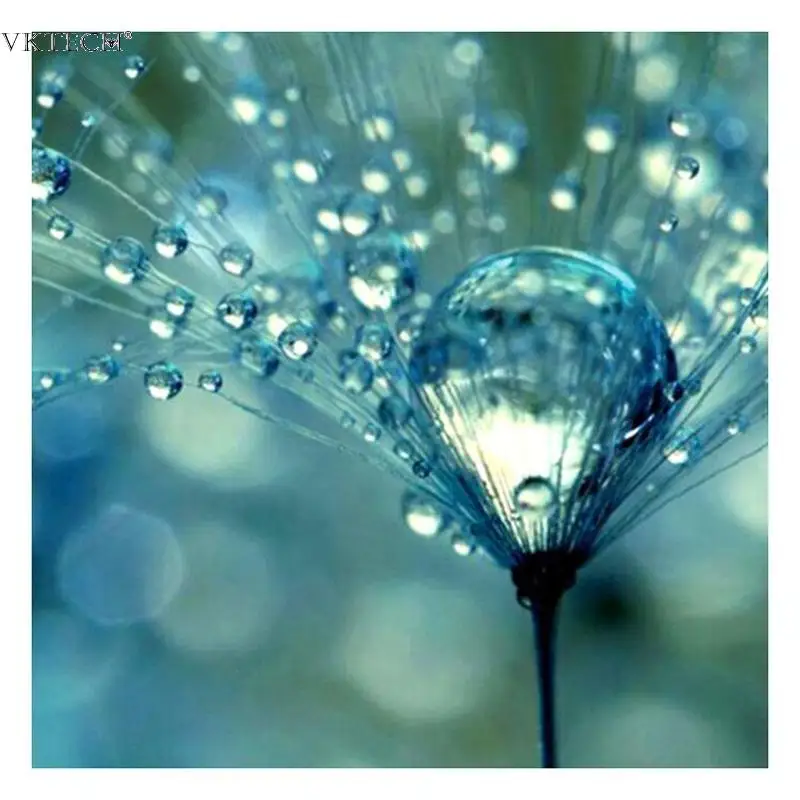 30*30cm Drop Dandelion 5D Diamond Painting Embroidery Full Round DIY Cross Stitch Home Sequin Decor Room Wall Art Frame Picture
30*30cm Drop Dandelion 5D Diamond Painting Embroidery Full Round DIY Cross Stitch Home Sequin Decor Room Wall Art Frame Picture
