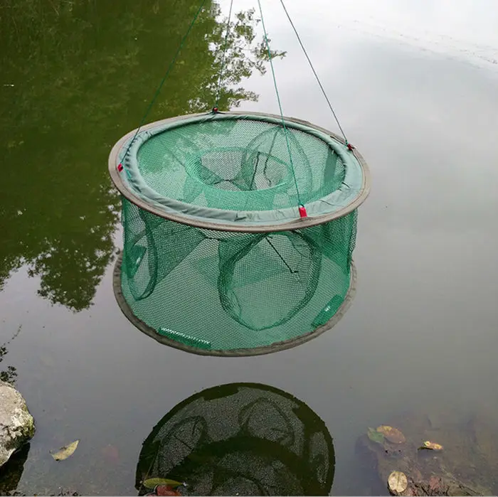 6-8 Hole Diameter 50CM Fishing cage Round fishing net Shrimp net fishing gear Free shipping
6-8 Hole Diameter 50CM Fishing cage Round fishing net Shrimp net fishing gear Free shipping