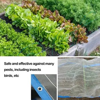 2x3m Anti Bird Catcher Net Traps Crops Fruit Tree Vegetable Gauze Netting Garden Mesh Insect Protect Pest Control Mosquito Net
2x3m Anti Bird Catcher Net Traps Crops Fruit Tree Vegetable Gauze Netting Garden Mesh Insect Protect Pest Control Mosquito Net