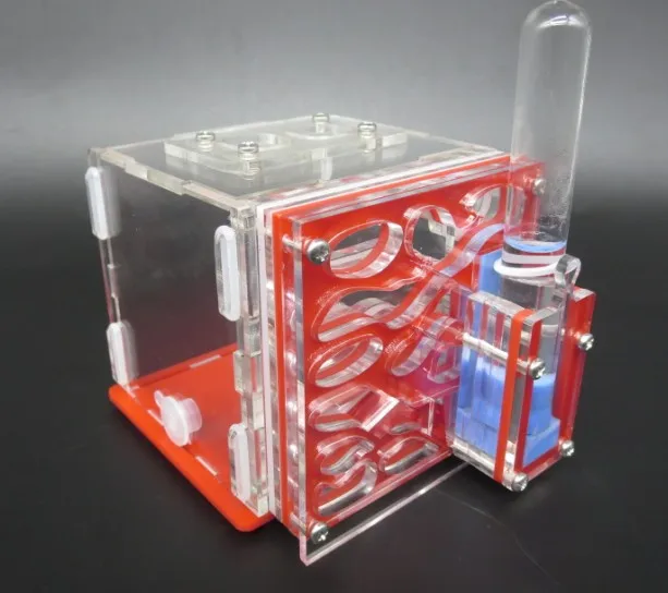 test tube DIY With Feeding Area Ant Farm Ants Nest Insect Nest Box Pet Mania For House Ants Villa Gift Educational 
test tube DIY With Feeding Area Ant Farm Ants Nest Insect Nest Box Pet Mania For House Ants Villa Gift Educational