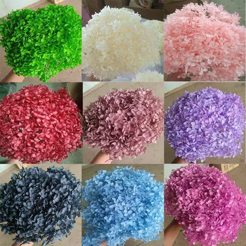 20g Preserved Fresh Hydrangea Macrophylla Flowers For Wedding Party Home Hotel Decoration DIY Bouquet Project Accessory
20g Preserved Fresh Hydrangea Macrophylla Flowers For Wedding Party Home Hotel Decoration DIY Bouquet Project Accessory