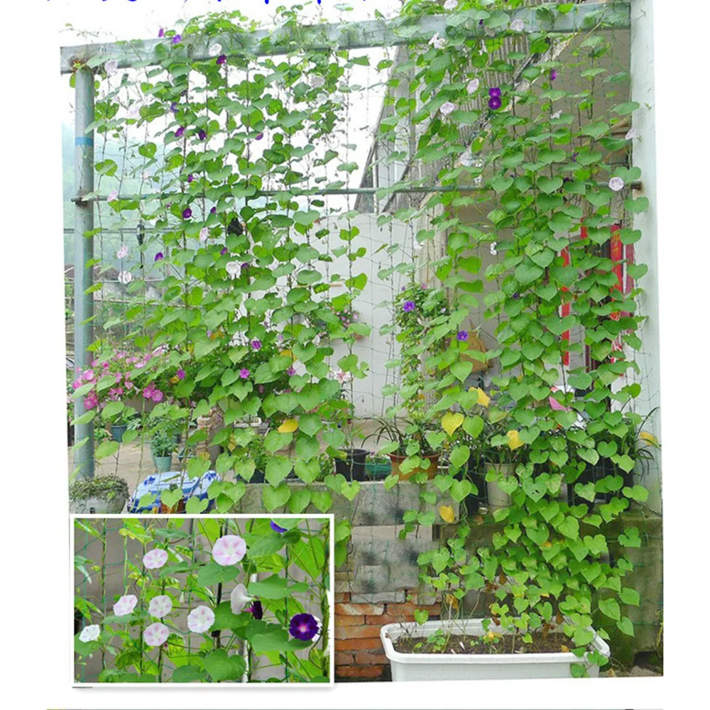 Garden Net Vine Plant Climbing Nylon Home Gardening Decorations Planter Ornament for Cucumber Towel Gourd
Garden Net Vine Plant Climbing Nylon Home Gardening Decorations Planter Ornament for Cucumber Towel Gourd