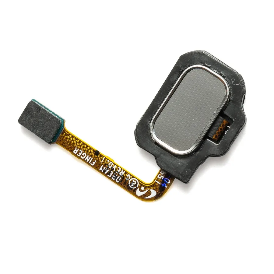 Home_Button_Flex_Cable_for_Samsung_Galaxy_S8_w_Fingerprint_Scanner_-_Arctic_Silver_2
