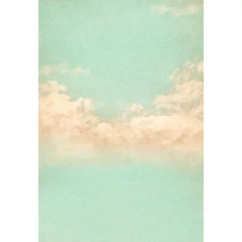 Vinyl Photography Backdrop Cloud Newborn Baby Computer Printed Children Backgrounds for Photo Studio
Vinyl Photography Backdrop Cloud Newborn Baby Computer Printed Children Backgrounds for Photo Studio