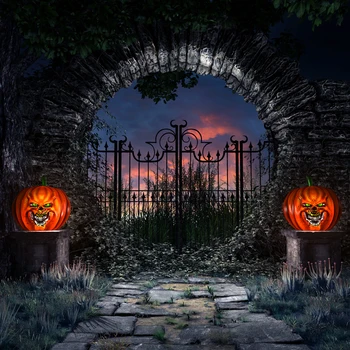 VinylBDS Pumpkin Photography Backdrop Brick Floor Backdrop Photo Background Iron Gate Halloween Photography Background
VinylBDS Pumpkin Photography Backdrop Brick Floor Backdrop Photo Background Iron Gate Halloween Photography Background