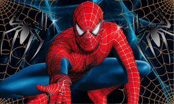 7x5ft Suer Hero Spiderman Spider Man Web Custom Washable Wrinkle Free Photo Studio Background Backdrop Thicker Polyester Fabric
7x5ft Suer Hero Spiderman Spider Man Web Custom Washable Wrinkle Free Photo Studio Background Backdrop Thicker Polyester Fabric