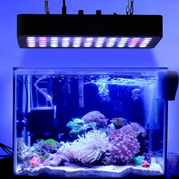 Dimmable 165w Full Spectrum LED Aquarium Lamp Best for Fish Tanks Marine Coral Reef Plants Growth Aquarium LED Lighting 
Dimmable 165w Full Spectrum LED Aquarium Lamp Best for Fish Tanks Marine Coral Reef Plants Growth Aquarium LED Lighting