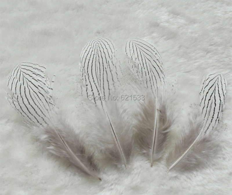 100Pcs/lot! 7-12cm Silver Pheasant plumage feathers for Craft Supply Millinery Supplies Jewelry Making
100Pcs/lot! 7-12cm Silver Pheasant plumage feathers for Craft Supply Millinery Supplies Jewelry Making