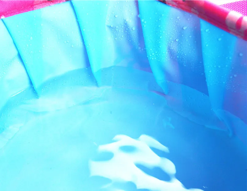 2481895218_1418884327