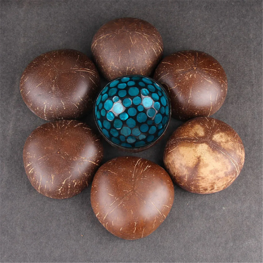 Natural Geometric Shape Coconut Shell Bowl Dishes Kitchen Paint Craft Home Decor