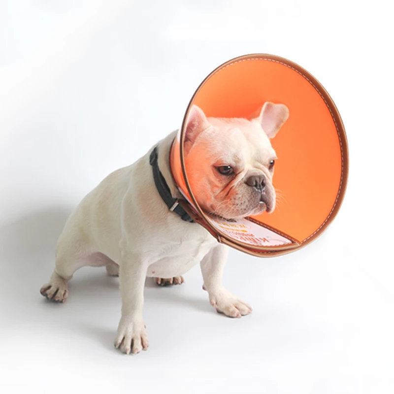 KIMPETS Dogs Collar Pet Protection Cover Collar Anti Bite Wound Healing Medical Beautify Shower For Dog Pet Medical Collar
KIMPETS Dogs Collar Pet Protection Cover Collar Anti Bite Wound Healing Medical Beautify Shower For Dog Pet Medical Collar