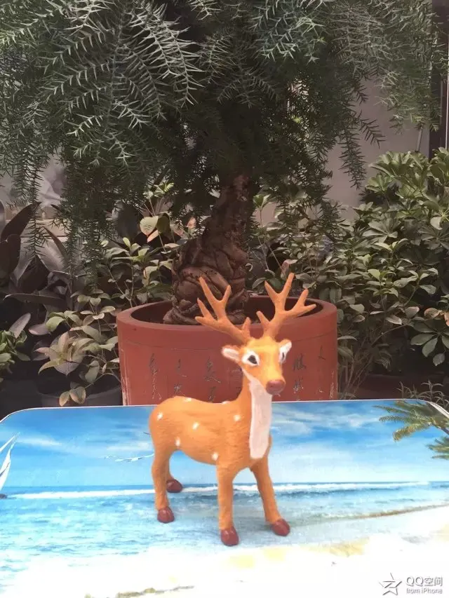 about 20x16 cm simulation deer hard model home decoration Christmas gift h1166
about 20x16 cm simulation deer hard model home decoration Christmas gift h1166