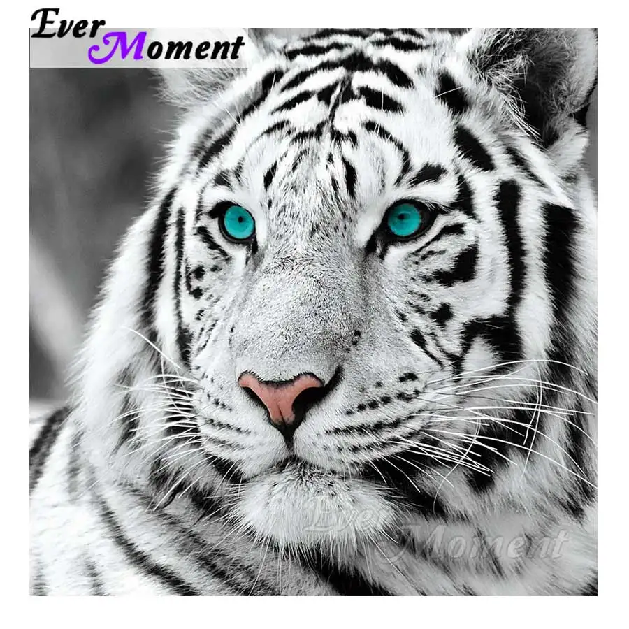 Ever Moment Diamond Painting Full Square Drill White Tiger Home Decoration Diamond Embroidery Cross Stitch Rhinestone S2F350
Ever Moment Diamond Painting Full Square Drill White Tiger Home Decoration Diamond Embroidery Cross Stitch Rhinestone S2F350