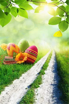 Photographic Camera Background Easter Colorful Eggs Green Forest Spring Leaves Backdrop for Studio Easter Custom Backdrops Props
Photographic Camera Background Easter Colorful Eggs Green Forest Spring Leaves Backdrop for Studio Easter Custom Backdrops Props