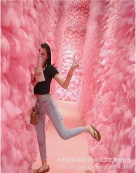 100 pieces of 25-30cm feather background wall wedding decoration decoration feather wall material
100 pieces of 25-30cm feather background wall wedding decoration decoration feather wall material